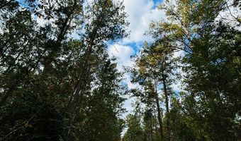 644 Ash-Harrel Loop, Abbeville, GA 31001