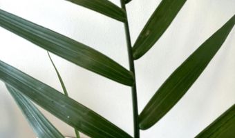 610 1st Ave 2, Asbury Park, NJ 07712