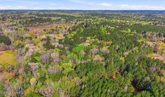 Harrisville Braxton Road, Braxton, MS 39044