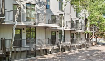 800 E Hopkins Ave A-3, Aspen, CO 81611