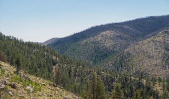 693 Cougar Dr, Bellvue, CO 80512