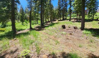 350 Snowshoe Rd, Bear Valley, CA 95223