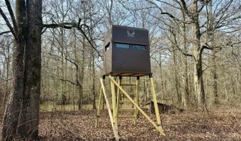 Putnam Road, Belzoni, MS 39038