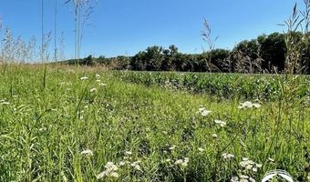 10 66 Acres M/L N 800 Rd, Baldwin City, KS 66006