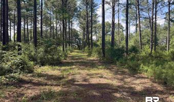 154 Perry Ln, Atmore, AL 36502
