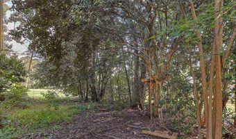 120 Ozark Rd, Abbeville, AL 36310