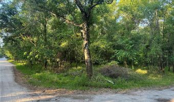 NE RIVER RIDGE AVENUE, Arcadia, FL 34266