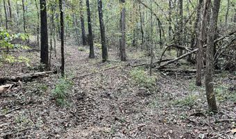 CR 225, Blue Springs, MS 38828