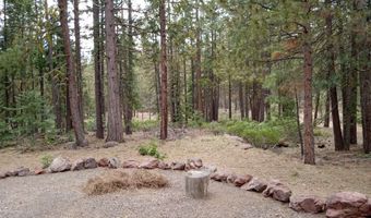 33907 Red Deer Ln, Bonanza, OR 97623