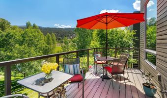 202 Evans Rd 202, Basalt, CO 81621