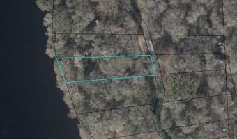 86 Th Way, Bell, FL 32619