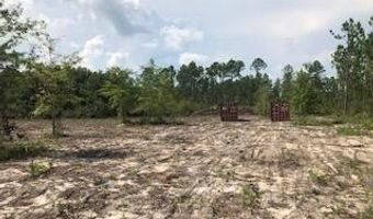 22563 NW Lake Mckenzie Blvd, Altha, FL 32421