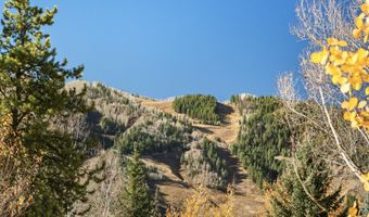 522 Spruce St, Aspen, CO 81611