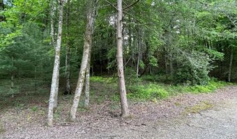 00 Collett Woods Trl 4-20, Andrews, NC 28901