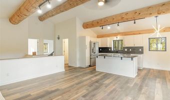 148 N Aspen St, Alma, CO 80420