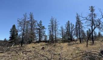 0 Wren Dr Lot 6, Bonanza, OR 97623
