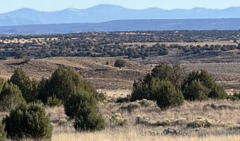 228 County Rd N9328, Concho, AZ 85924
