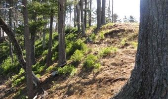Lot 16 Fly Rod Trail, Wisconsin Rapids, WI 54494