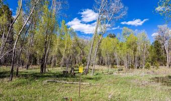 65 Pinestone Dr, Bayfield, CO 81122