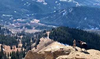 807 MERNA NORTH BEAVER Rd, Daniel, WY 83115