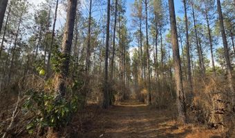 U.S. Highway 51, Bogue Chitto, MS 39629