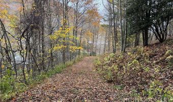 Rominger Road, Banner Elk, NC 28604