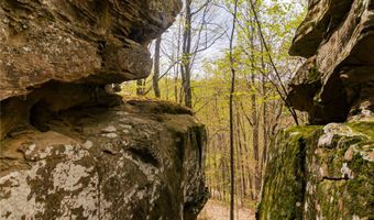 Tbd9999 Wentworth School Road, Beattyville, KY 41311