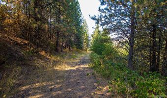Summitview Dr, Ahsahka, ID 83520