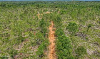 Wynn Road, Big Sandy, TN 38221