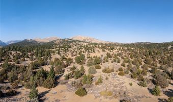 NHN Trails End Drive, Anaconda, MT 59711