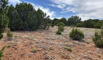50 County Road 3048, Concho, AZ 85924