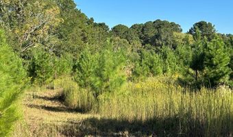 20 Ac State Hwy 95 Columbia Rd, Abbeville, AL 36310