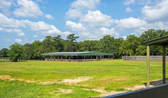 1792 Appleton Rd, Allendale, SC 29810