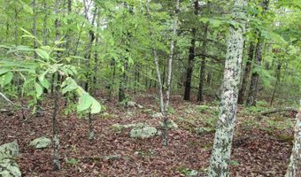 E Mountain Road, Bee Branch, AR 72013