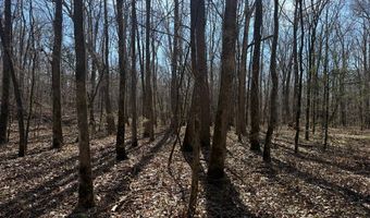 Cr 127, Abbeville, MS 38601