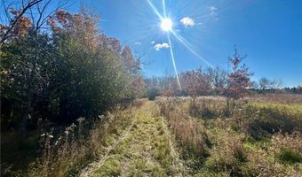 Tbd 125th Street, Alden, WI 54001