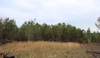 95 Herman Bell Rd, Mauk, GA 31058