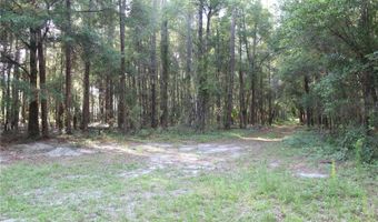 15821 SW 50TH Ave, Archer, FL 32618