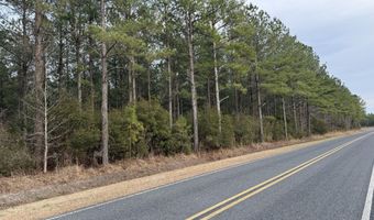Tuten Road, Aurora, NC 27806