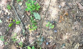 0001 E 1960 Rd, Antlers, OK 74523