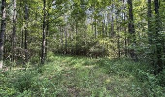 Pine Lodge Road, Batesville, MS 38606
