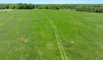 75 59 AC Brosseau Rd, Afton, MI 49705