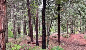 1526 Seminole, Arnold, CA 95223