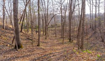 4376 Highway BB, Annapolis, MO 63620