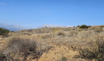 Brogan Road, Acton, CA 93510