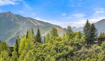 927 Red Mountain Rd, Aspen, CO 81611
