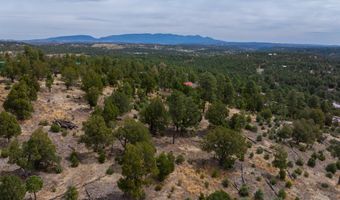 PN TBD BACHE ST & MESITA DR, Alto, NM 88312