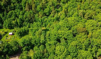 Camp Brook Road lot Map 30 Lot 67, Alstead, NH 03602