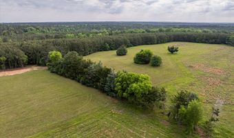 5740 Cobbham Road Lot Tract C, Appling, GA 30802