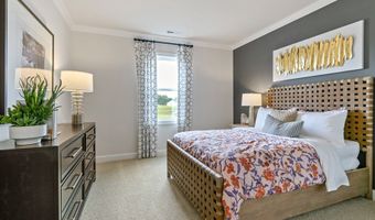 7505 Percussion Dr Plan: Cooper, Apex, NC 27539